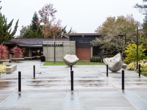 Brilliance - Palo Alto Library Plaza, 2016